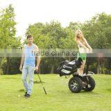 Self Balance Electric Golf Cart,cheap Golf Cart for Sale,two Wheels Golf Cart thumbnail-3