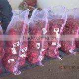 Chestnut , Fresh Chestnut thumbnail-1