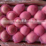 Red Fuji Apple In China