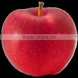 150# Fresh Fuji Apple thumbnail-5