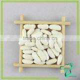 2016 White Beans Long Shape Low Price New Arrival thumbnail-3