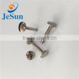 China fastener manufacturing special screw