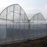 Cheap 30 x 100 Greenhouse thumbnail-6