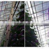 540W COB LED Panel Grow Light System Full Spectrum For Plant Replace HPS Lamp thumbnail-6