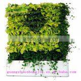 SJLJ013400 Artifcial Grass Wall Decorative Plastic Garden Hedge With Pot thumbnail-3