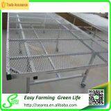 Greenhouse Benches | Greenhouse Bench thumbnail-5
