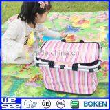 Insulated Picnic Basket