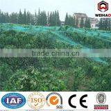 Factory Anti-bird Mesh/plastic Net thumbnail-2