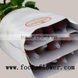 Fragrant Aroma Crazy Selling Fresh Cut Roses Fresh Cut Marigold Roses Carola for Wedding Decoration From Kunming thumbnail-2