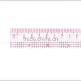 Factory Wholesale High Quality Plastic Fabric Ruler for Fashion Pattern Design 1"*12" #B-65 thumbnail-3