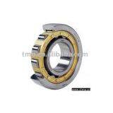 Cylindrical Roller Bearing thumbnail-1