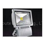 High Lumen 100W Warehouse Epistar LED Floodlight PF>0.95 IP67 LED Driver