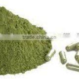 High Quality Organic Moringa Leaf Powder thumbnail-1