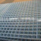 Welded Wire Mesh(reliable Manufacture)