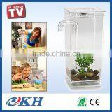 Fish Tank As Seen On TV thumbnail-1