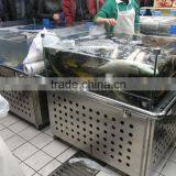 APEX Supermarket Large Commercial Glass Fish Tank thumbnail-4
