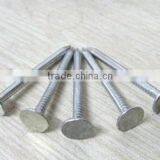 Hot Selling Galvanized Flat Head Clout Nails China Supplier Factory