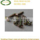 OEM Professional Precision ISO ROHS Philips Self-tapping Screw