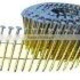 &**&nails/nail/common Nail/roofing Nail/concrete Nail**