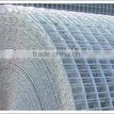 Welded Wire Mesh thumbnail-1