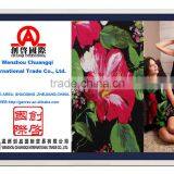 China Textiles 100% Cotton Fabric Flower Printing for Fashion One-piece Dress thumbnail-1