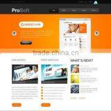 Offshore Software Development Services thumbnail-4