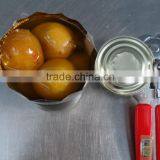 Canned Fig With Syrup thumbnail-5