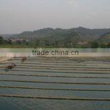 Spirulina Dietary Tablet Natural Supplement thumbnail-2