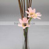 Any Places Air Freshener Use and Rattan Stick Shape Glass Bottle Reed Diffuser thumbnail-4