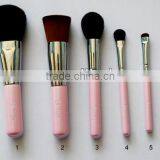 Pink 6 Pieces Cosmetic Make up Brush Set