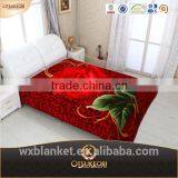 Micro Fleece Blanket and Factory Blanket With Raschel Brand.