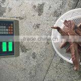 Well Trimmed Frozen Yellow Tail Scad Fillet Frozen Fish Fillet thumbnail-6