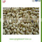 Peanut in Shell thumbnail-5