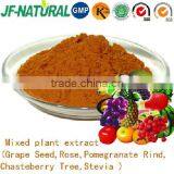 Plant Extract Mixed Powder ISO GMP HACCP KOSHER HALAL thumbnail-1