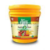 Water Soluble Seaweed Extract Liquid Root Bio Fertilizer thumbnail-3