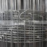 Cheap Animal Wire Mesh Fence for Sale (Big Factory in Anping) thumbnail-4