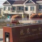 Shandong Tony Environmental Protection Sci-Tech Co., Ltd. company overview - view 1 thumbnail