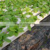 PVC Hydroponics Square Tube Industrial Hydroponic System thumbnail-2