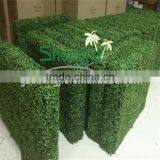 China artificial boxwood hedges for outdoor UV plastic boxwood hedges