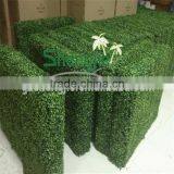 China Artificial Boxwood Hedges for Outdoor UV Plastic Boxwood Hedges thumbnail-1