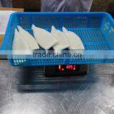 Frozen Pacific Squid Tube thumbnail-5