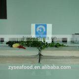 Hot on Sale Bulk Freezing Block Surimi From Fish thumbnail-2