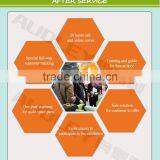 Digital Flatbed Inkjet Printer ADL-1671 thumbnail-4