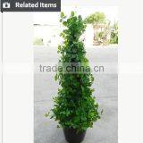 2015 Hot Sell Artificial Milan Boxwood Topiary Ball With Any Size for Hall Decoration thumbnail-5