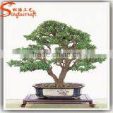 Distinctive Designs a Wide Variety of Artifical Life Size Artificial Decorative Plants and Trees thumbnail-1