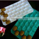 China Supply Cheap Plastic Fruit Tray thumbnail-4