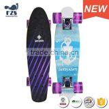 HSJ245 Manufacturers Wholesale Direct Small Fish Board Children Adult Skateboard Brush Street Step Maple Skateboard thumbnail-3