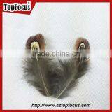 Lower Price Natural Synthetic Pheasant Feathers for Carnival Costumes thumbnail-3
