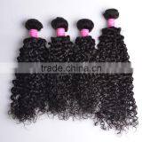 Wholesale Hair Extensions China, Virgin Brazilian Malaysian Peruvian Hair Wholesale, Malaysian Afro Kinky Curl Sew in Hair Weave thumbnail-3
