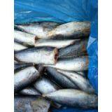 Supply Bonito HGT thumbnail-2